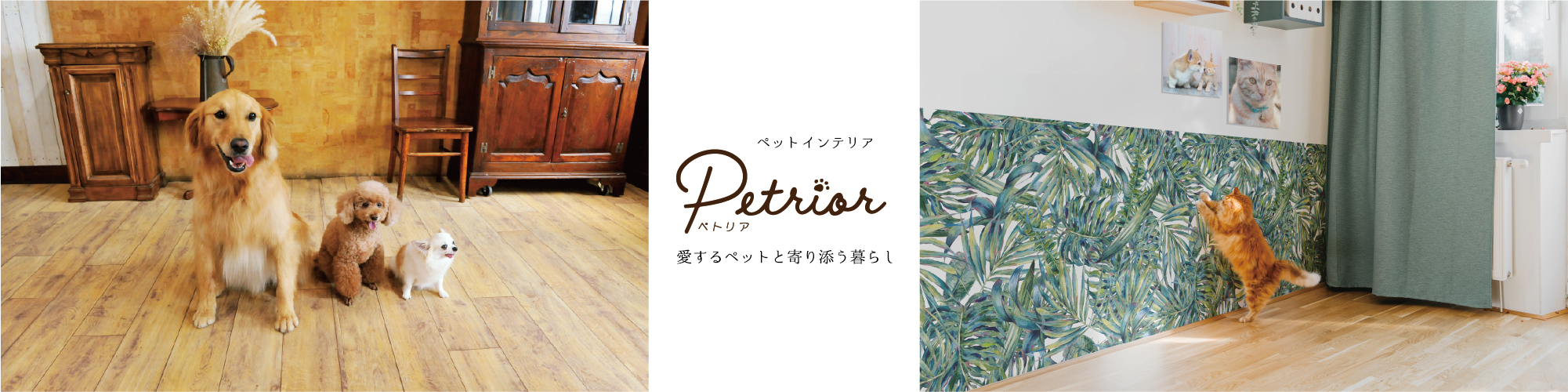 petrior