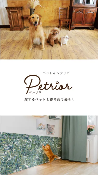 petrior