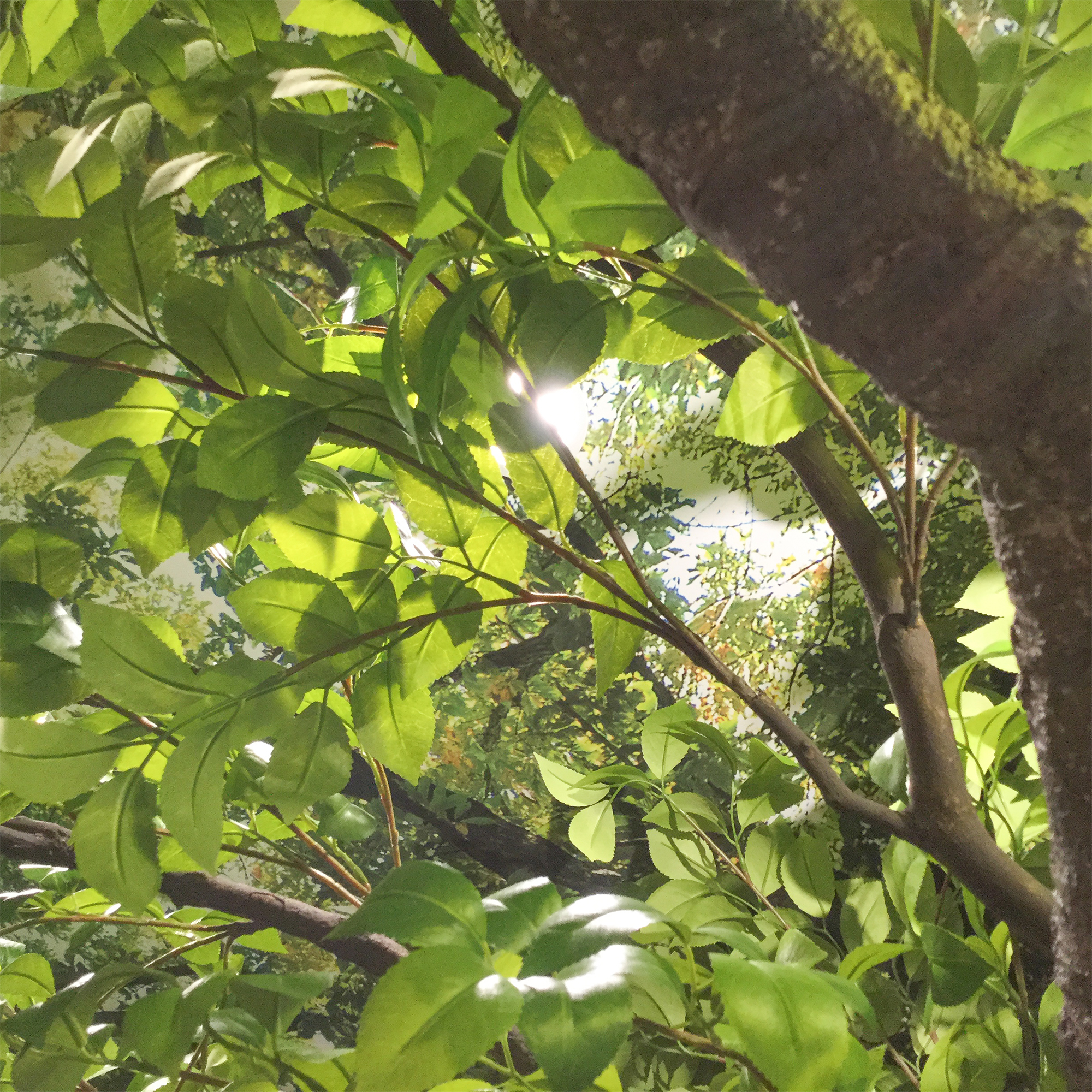 image0200020001