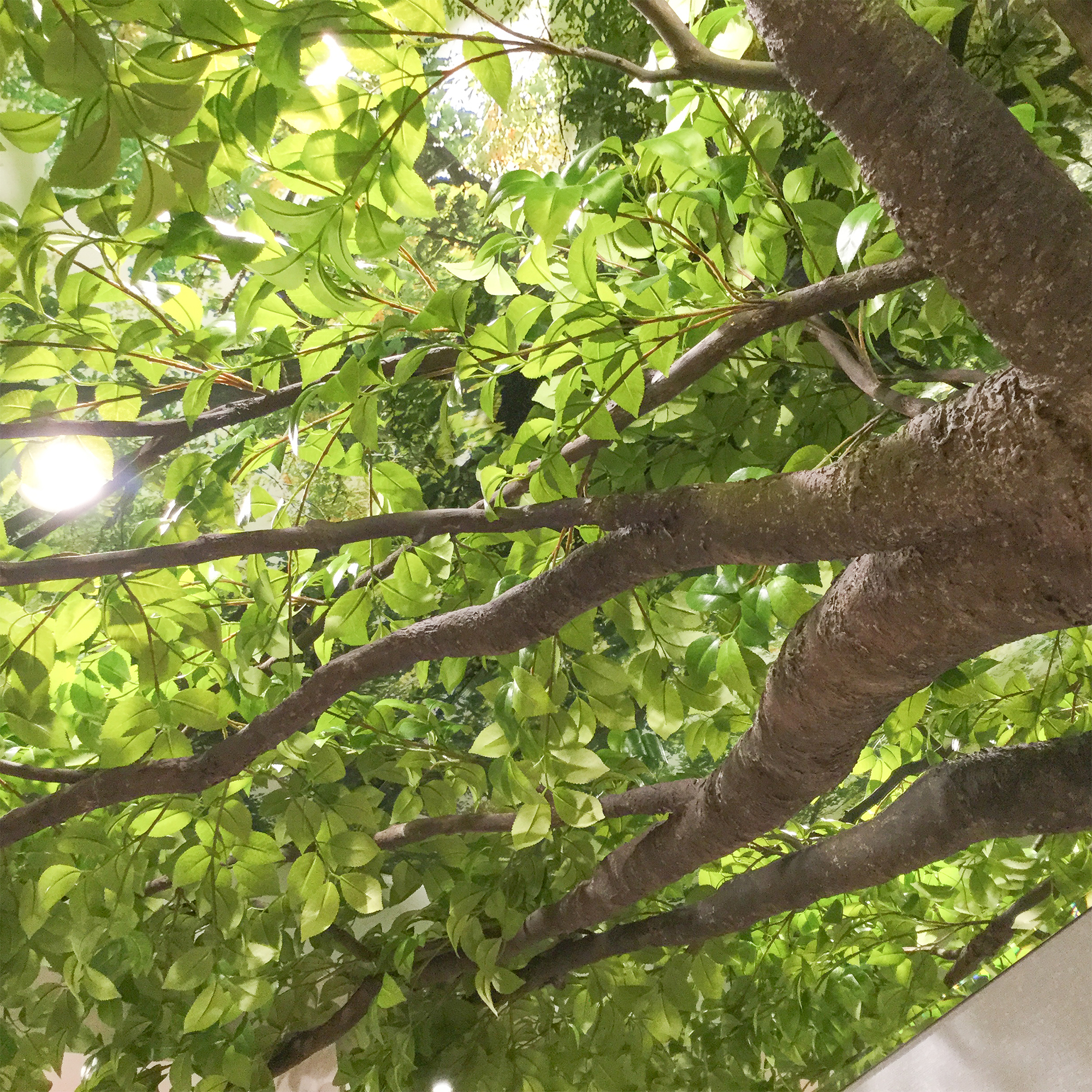 image0320002000